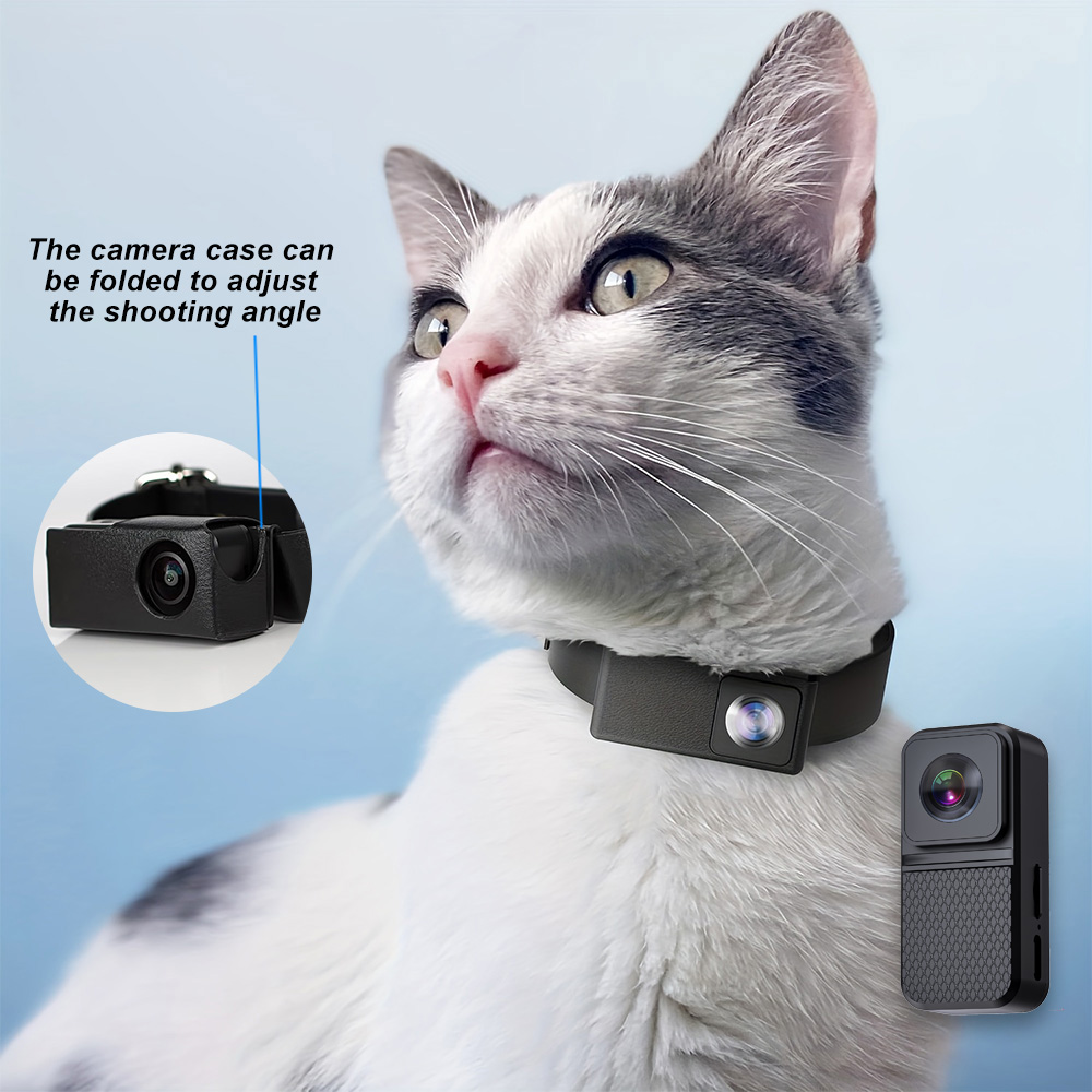 HD 1080P Pet Cameras Outdoors  - Home Cinema Hd review and price