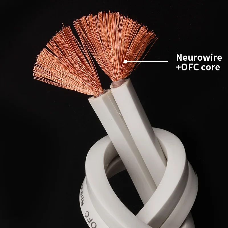 YYTCG DIY Loud Speaker Cable H - Home Cinema Idea review and price