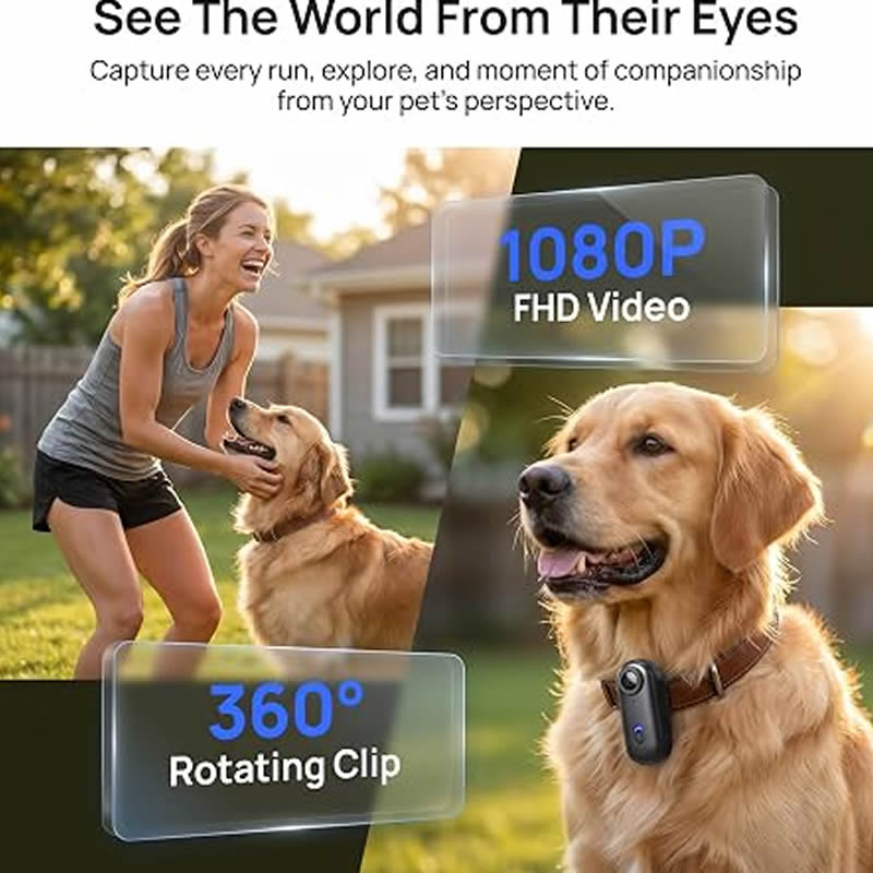 Pet Cameras 1080P HD Dog Cat P - Home Cinema Hd review and price