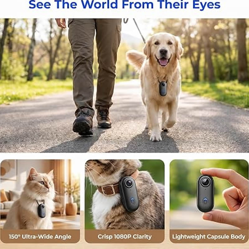 Pet Cameras 1080P HD Dog Cat P - Home Cinema Hd review and price