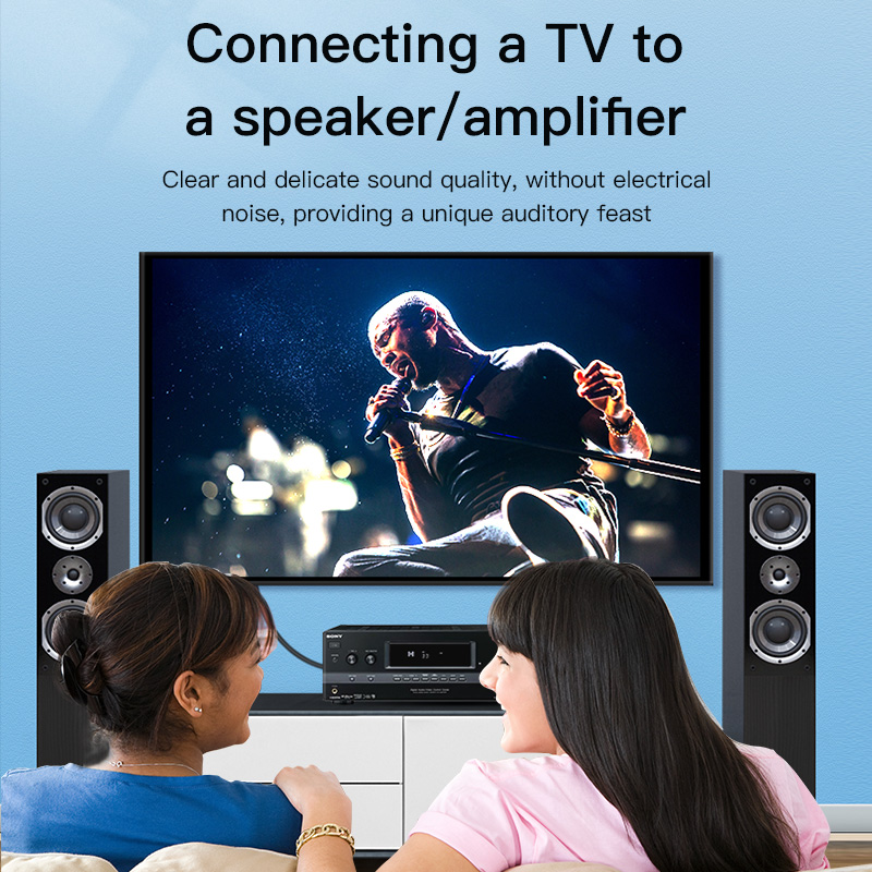 CHOSEAL RCA Cable Digital Coax - Home Cinema Idea review and price
